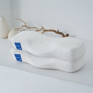 가누다 블루라벨 비바체 경추베개, 화이트, 2개