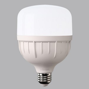 비츠온 LED T-벌브 30W E26, 주광색, 1개