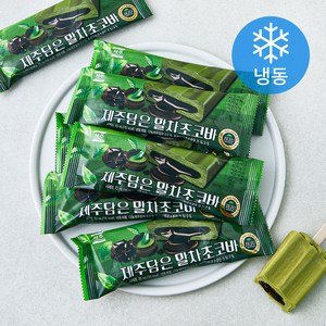 서주 제주담은 말차초코바 (냉동), 10개, 1개입, 70ml