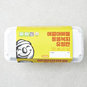 애월아빠들 동물복지 인증 유정란 500g, 1개, 10구