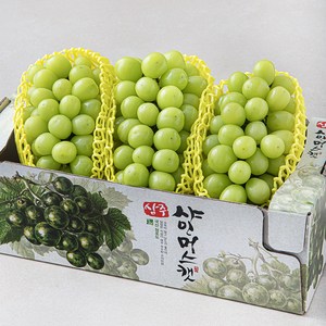 산농 상주 샤인머스캣, 2.2kg(3~4수), 1개