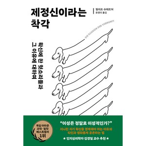 제정신이라는 착각:확신에 찬 헛소리들과 그 이유에 대하여, 필리프 슈테르처, 김영사