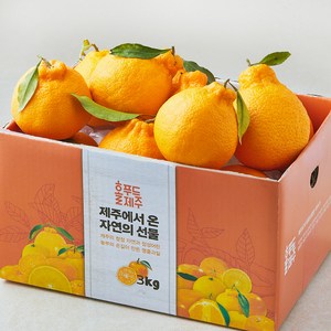 홀푸드제주 한라봉, 1개, 3kg