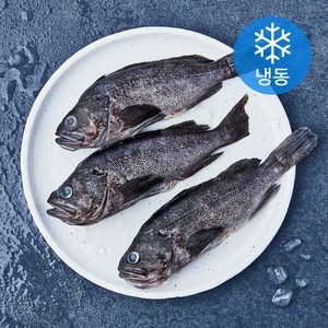 통영원 국내산 손질 우럭 (냉동), 1개, 400g(3미)