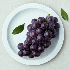 당찬 거봉포도, 1개, 500g