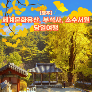 [영주] 세계문화유산 도시 영주 당일여행(부석사, 무섬마을, 소수서원)