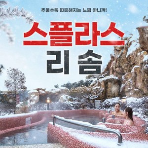 [충남] 스플라스리솜 온천 워터파크 이용권 (~1.31)