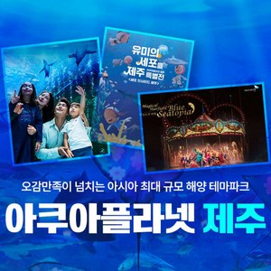 [제주] 제주 아쿠아플라넷 입장권늦은 오후권