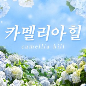 [제주] 카멜리아힐 입장권♥낙타트래킹&족욕 체험 혜택 증정♥