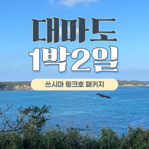 [대마도] Stoy가 있는 Happy 대마도 1박2일 쾌속선 - 팬스타 쓰시마링크호