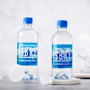 이즈브레 먹는 샘물, 500ml, 48개