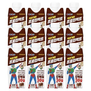 짱구 액션가면 프로틴액트 초코맛 단백질음료 330ml x 12개, 단품