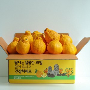 제주 고당도 한라봉 못난이 꼬마 선물용 가정용, 10kg 대과(18~32개입), 1개