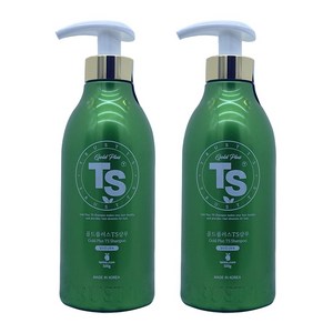 TS 골드플러스 탈모증상완화 샴푸, 500g, 2개