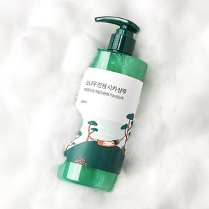 라운드랩 소나무 진정 시카 샴푸, 1개, 400ml