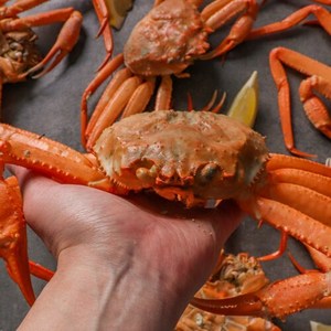 지구팡 선주직송 제철 홍게 2kg 3kg 프리미엄 박달 연지 붉은대게 캠핑 수율80%이상, 프리미엄2kg(6~8미), 1개