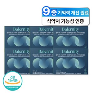 밸러니티 9종기능성 두뇌영양제 기억력 인지력개선 포스파티딜세린 은행잎추출물 징코, 6개, 90정