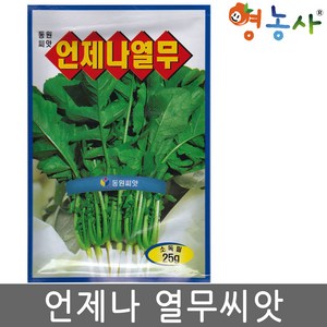 언제나 열무 25g 씨앗 단묶음 용이, 언제나열무 25g, 1개