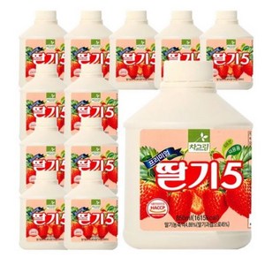 차그림 딸기 원액 850ml, 12개