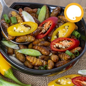 냉동 번데기, 4kg, 1개