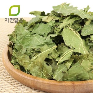 자연닮음 국산 저당지수 뽕잎 상엽 600g, 1개, 1개입