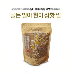 [CARI] 골든 발아현미 상황쌀 특허기술 SCI논문으로 효능 입증 상황버섯쌀 1KG