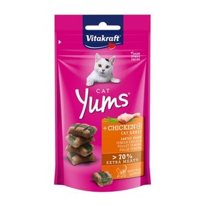 비타크래프트 캣얌 고양이간식, 치킨&캣그라스, 40g, 9세트