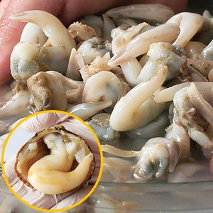 [조이 홈쇼핑] 자연산 손질 새조개 순살 조개 최상품, 10개, 100g 내외 (15-17미)