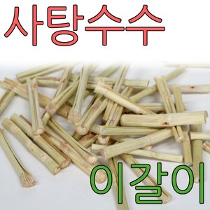 사탕수수 스틱 이갈이 20g 50g 100g 300g 1kg 햄스터 토끼 기니피그 앵무새 간식 먹이, 1개, 20g - 비닐팩소포장