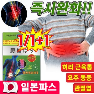 [일본기술] 류마티스 관절염 근육통 파스 허리 디스크 고관절 요추 좌골 통증 완화 패치 무릎 발 목 엉덩이 관절 신경통 증상 치료 방법, 1세트, 12개입