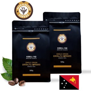 최고등급 맛있는 커피 원두 빈앤빈스 파푸아뉴기니 블루마운틴 AA, 1개, 500g, 핸드드립/커피메이커
