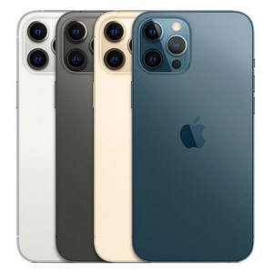 아이폰12 프로맥스 iPhone12 pomax 128GB 256GB 512GB 기가 정품, 골드