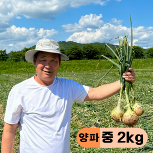 만근농장 국내산 햇양파, 1개, 2kg(중)