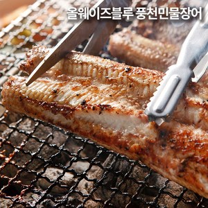 올웨이즈블루 고창 풍천민물장어 특대 2kg, 1개