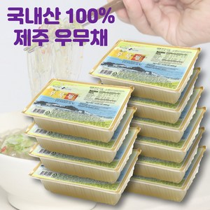 월산식품 국내산 한천 우뭇가사리 100%함유 우무채 400g 아이스박스 포장, 10개