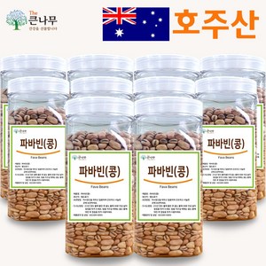 The큰나무 호주산 파바빈 콩 1kg 원물 23년산 햇 파바빈 수입사 직판 TV홈쇼핑 공급사, 10개