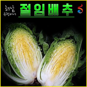 해남 유정이네 절임배추, 20kg