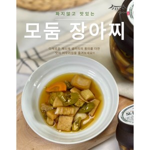 [지웅이네장아찌] 모둠장아찌 순한맛-무 양파 오이 샐러리 당근 오이고추 장아찌, 500g, 1개