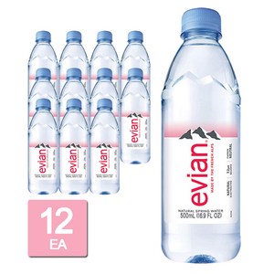 에비앙 워터 프랑스명품생수(FRENCH), 500ml, 12개
