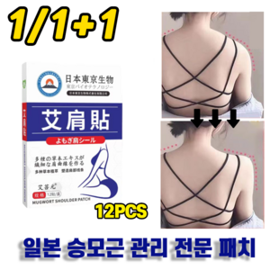 [전문관리]1/1+1 승모 승모근 패치 셀룰라이트 감소 패치 12pcs, 1개, 12매입