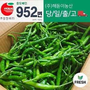 <해돋이농산> 국내산 꽈리고추 4kg, 1개