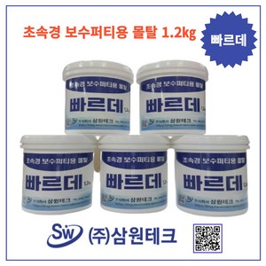 삼원테크31 빠르데 빨리굳는 초속경 시멘트 퍼티 보수 몰탈 셀프시공 크랙 벽 옥상 외부 내부 천정 급결 무수축 고강도, 1.2k, 1개