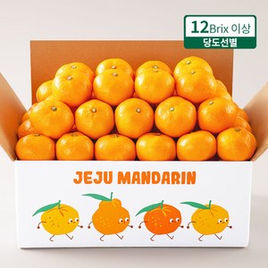 프루미츠 중문농협 엄선한 고당도 타이벡 감귤 2.5kg (12brix), 1개