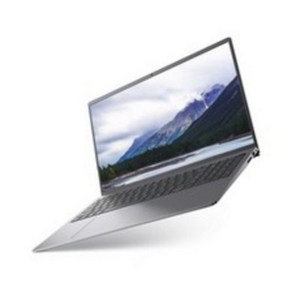 델 2021 Inspiron 15 5510 15.6, 플래티넘 실버, DN5510-UB09KR, 코어i7, 512GB, 16GB, Linux