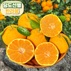 [당도선별] 한라봉 14bix 제주 산지직송, 1개, 가정용 3kg