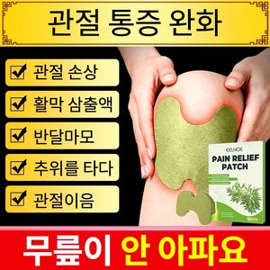 쑥 보디 패치, 10개입, 2개