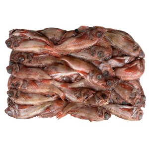 힘찬푸드 적어 라운드 붉은뽈락 열기 아까무스 약 63마리전후, 1박스, 12kg