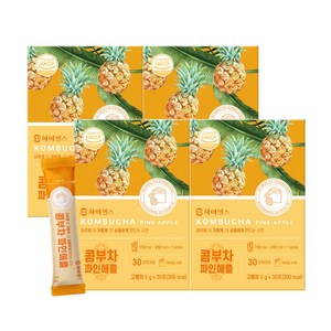 하이헬스 콤부차 파인애플, 5g, 30개입, 4개