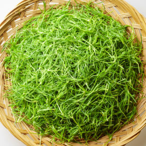 비금도 GAP인증 최상품 갯나물 세발나물, 1개, 4kg