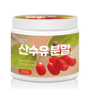 건강앤 국내산 구례 산수유 분말 100% 250g 계량스푼 증정, 1개